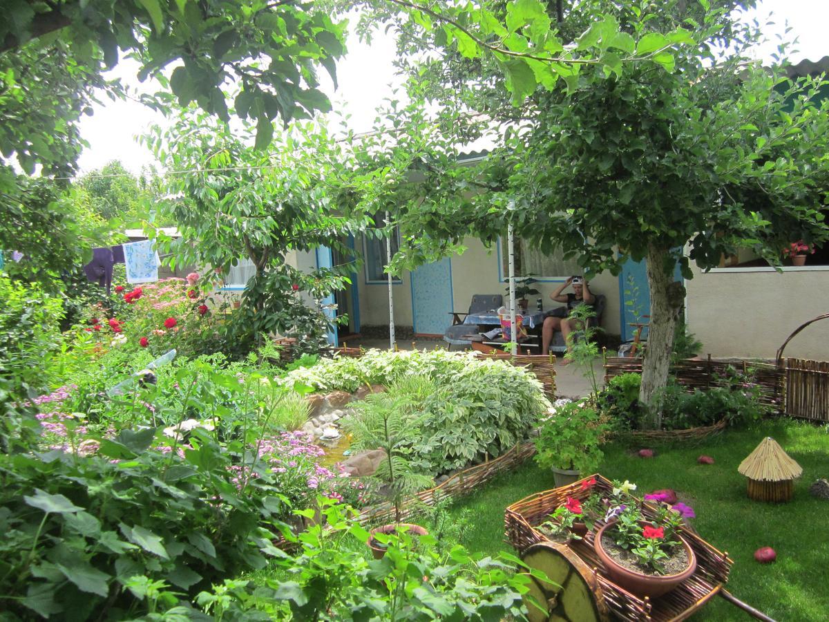 Olga Guest House Cholpon-Ata Exteriör bild
